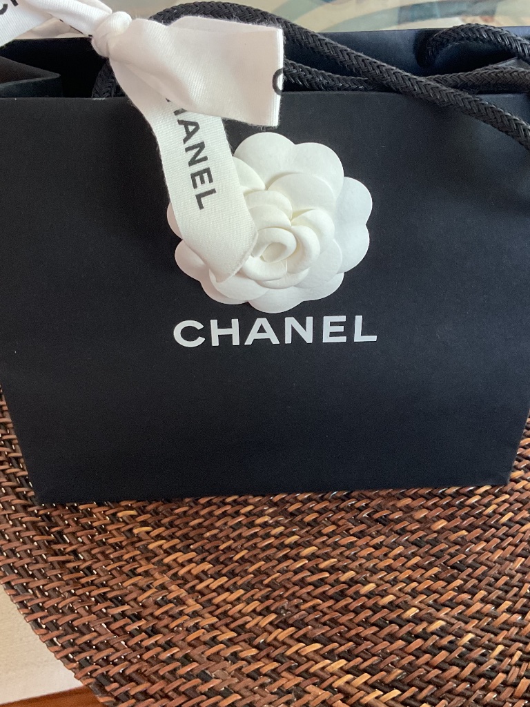 Camellia Chanel Boutique Shopping Bag And Bow